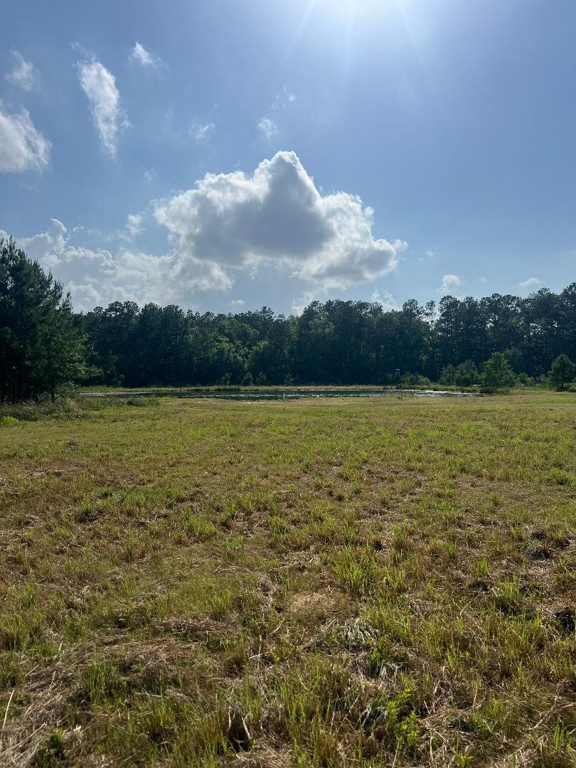 Property photo for 24980 Blackburn Dr, Splendora, TX
