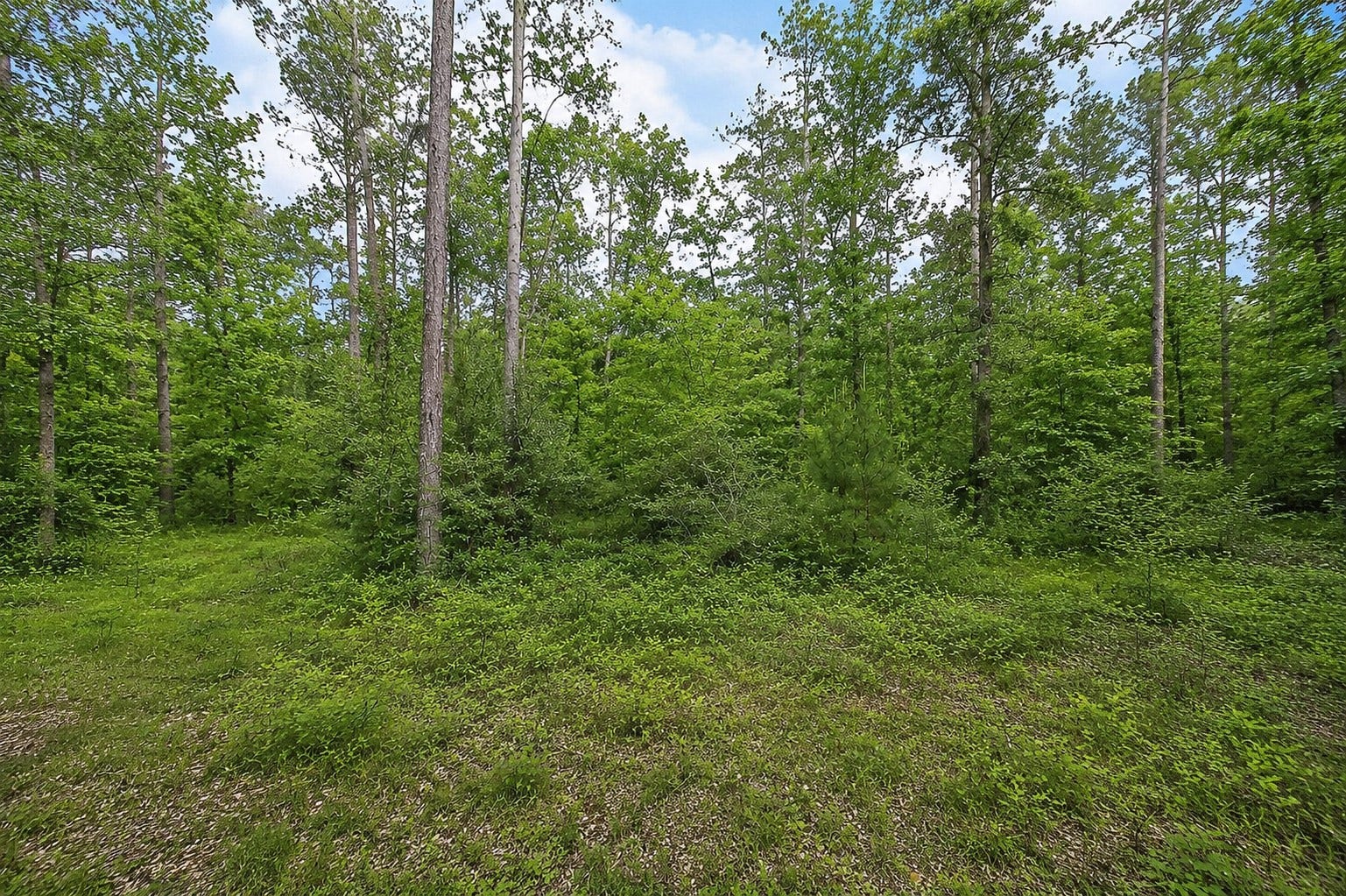 247 County Road 6763, Dayton, TX 77535 2.08 acres ready for your dream country home! Enjoy the space, privacy, and possibilities of country living.
Disclosure: This image has been digitally enhanced to improve photo clarity