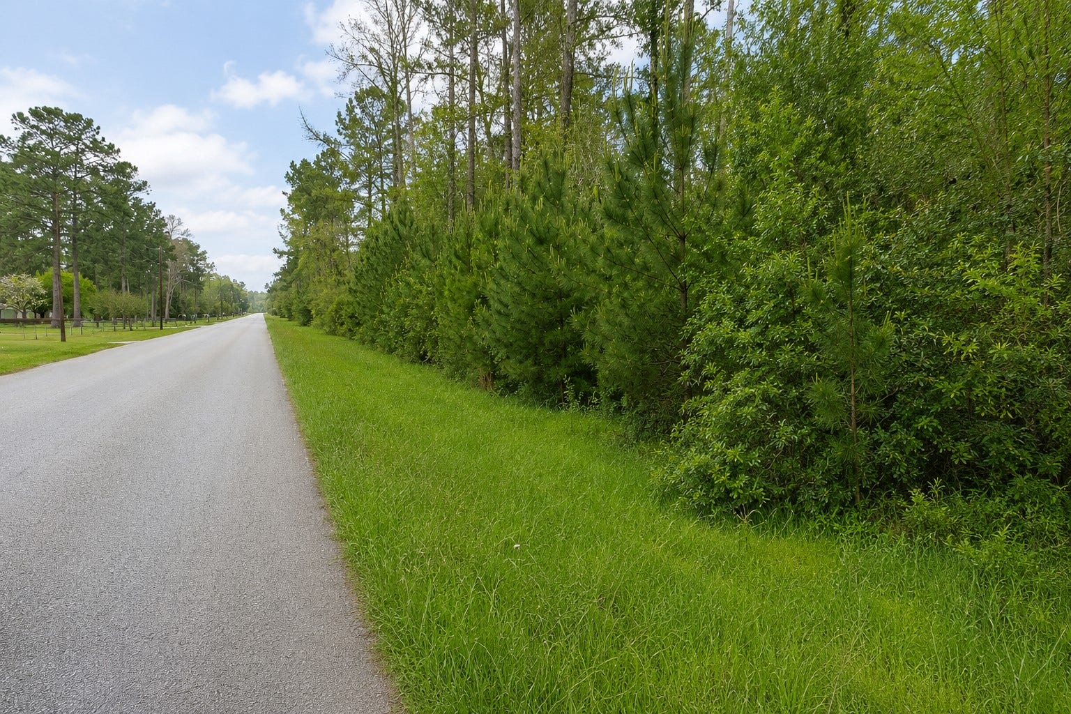247 County Road 6763, Dayton, TX 77535 2.08 acres ready for your dream country home! Enjoy the space, privacy, and possibilities of country living.
Disclosure: This image has been digitally enhanced to improve photo clarity