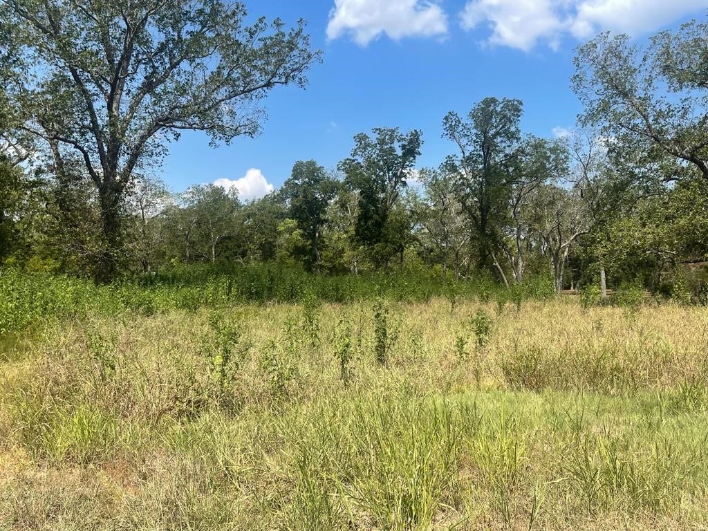 0 Carroll Road, Richmond, TX 77469 0 Carroll Road, Richmond, TX 77469