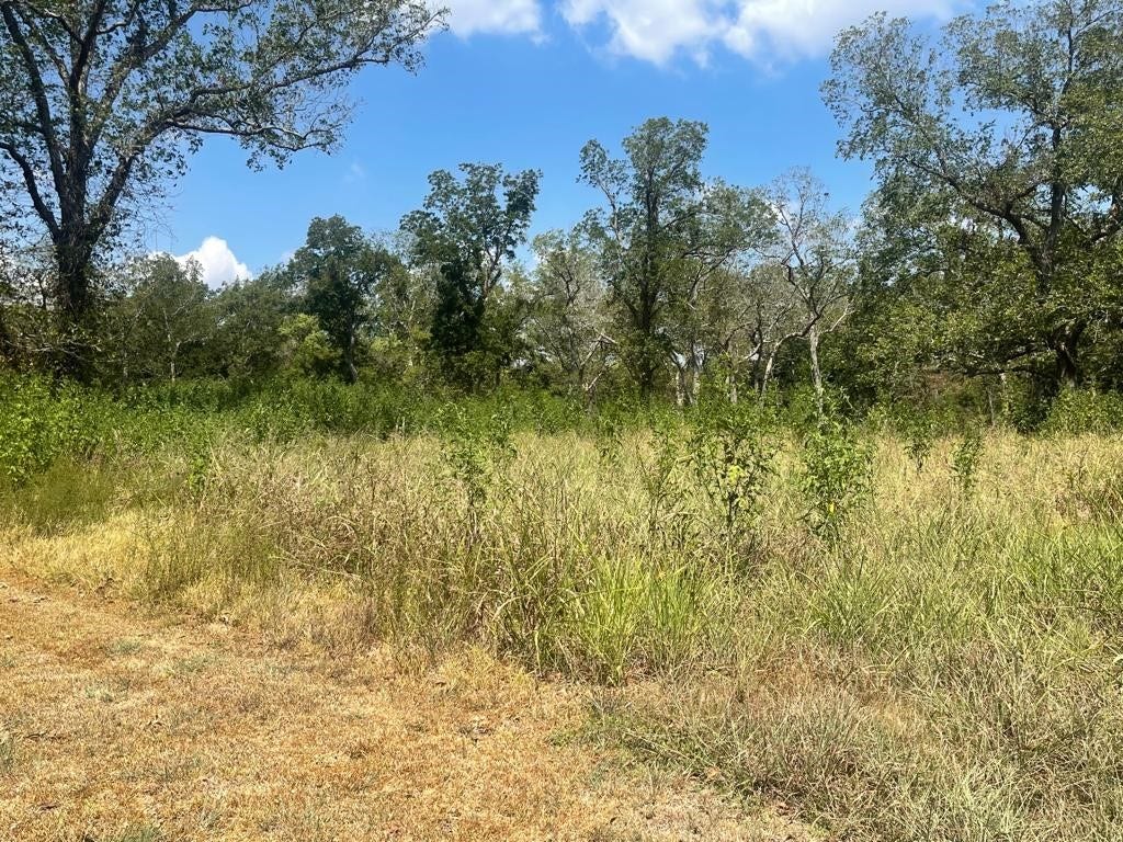 0 Carroll Road, Richmond, TX 77469 0 Carroll Road, Richmond, TX 77469