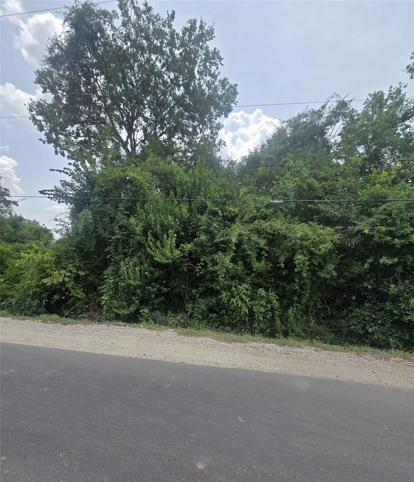 0 Forest Trail Drive, Channelview, TX 77530