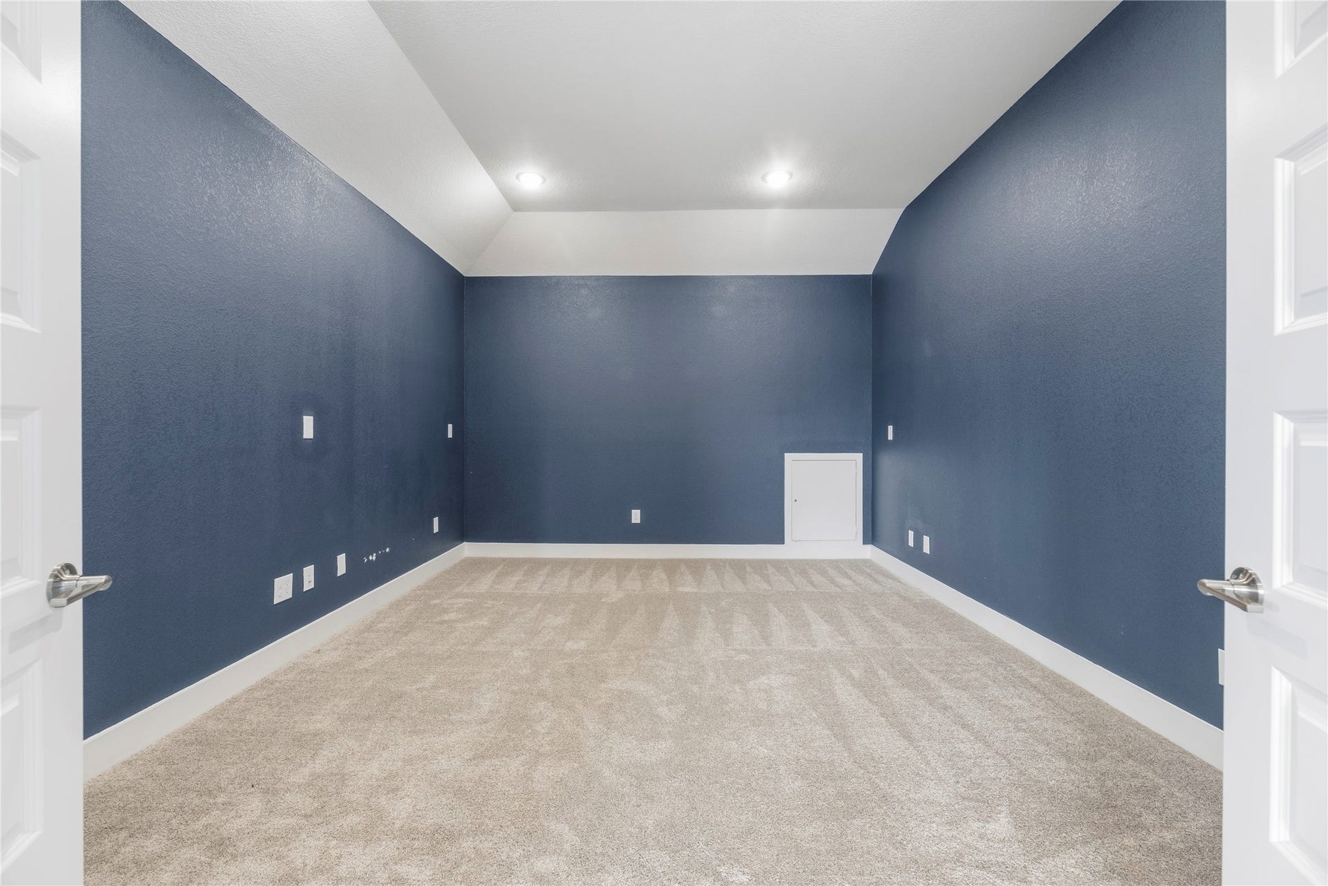 10314 Forest Lake Drive, Missouri City, TX 77459 Enter through double doors into a private media room featuring rich navy accent walls, plush carpeting, recessed lighting, and built-in access storageideal for movie nights.