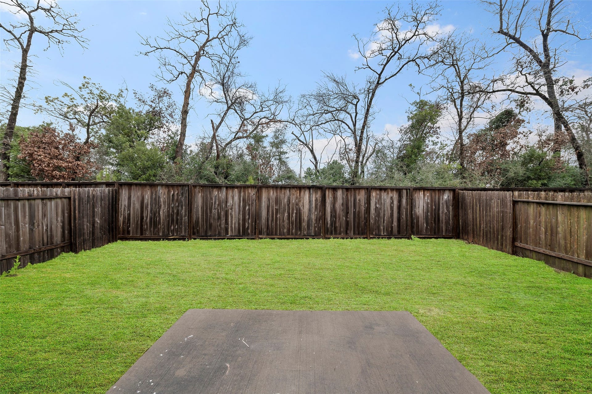 25953 Northpark Birch Drive, Porter, TX 77365 25953 Northpark Birch Drive, Porter, TX 77365