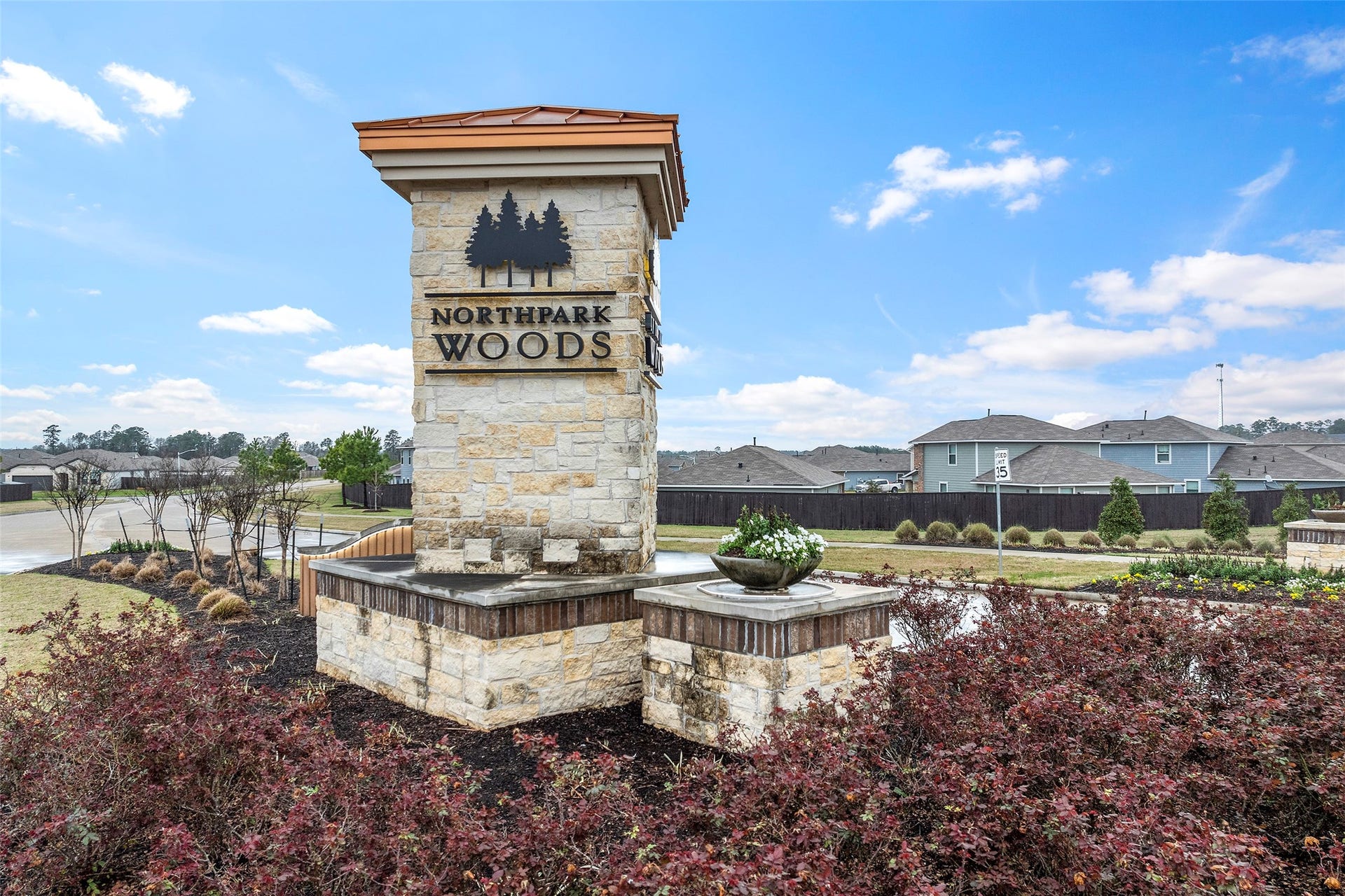 25953 Northpark Birch Drive, Porter, TX 77365 25953 Northpark Birch Drive, Porter, TX 77365