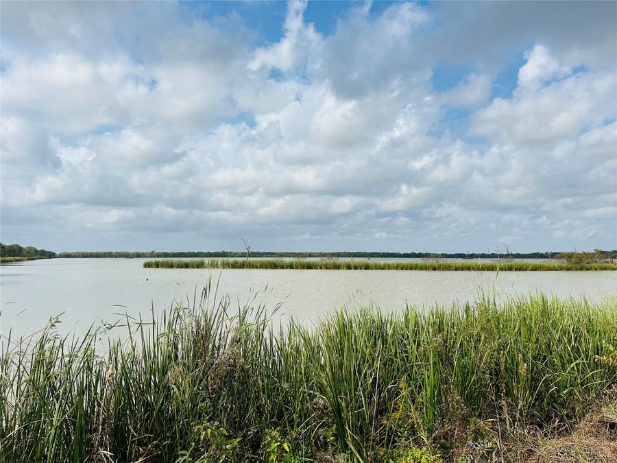 Property photo for 274 Pony Trail, Angleton, TX