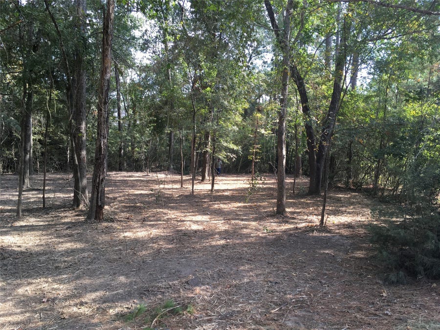 Property photo for 1930 Autumn Ridge Drive Drive, Conroe, TX