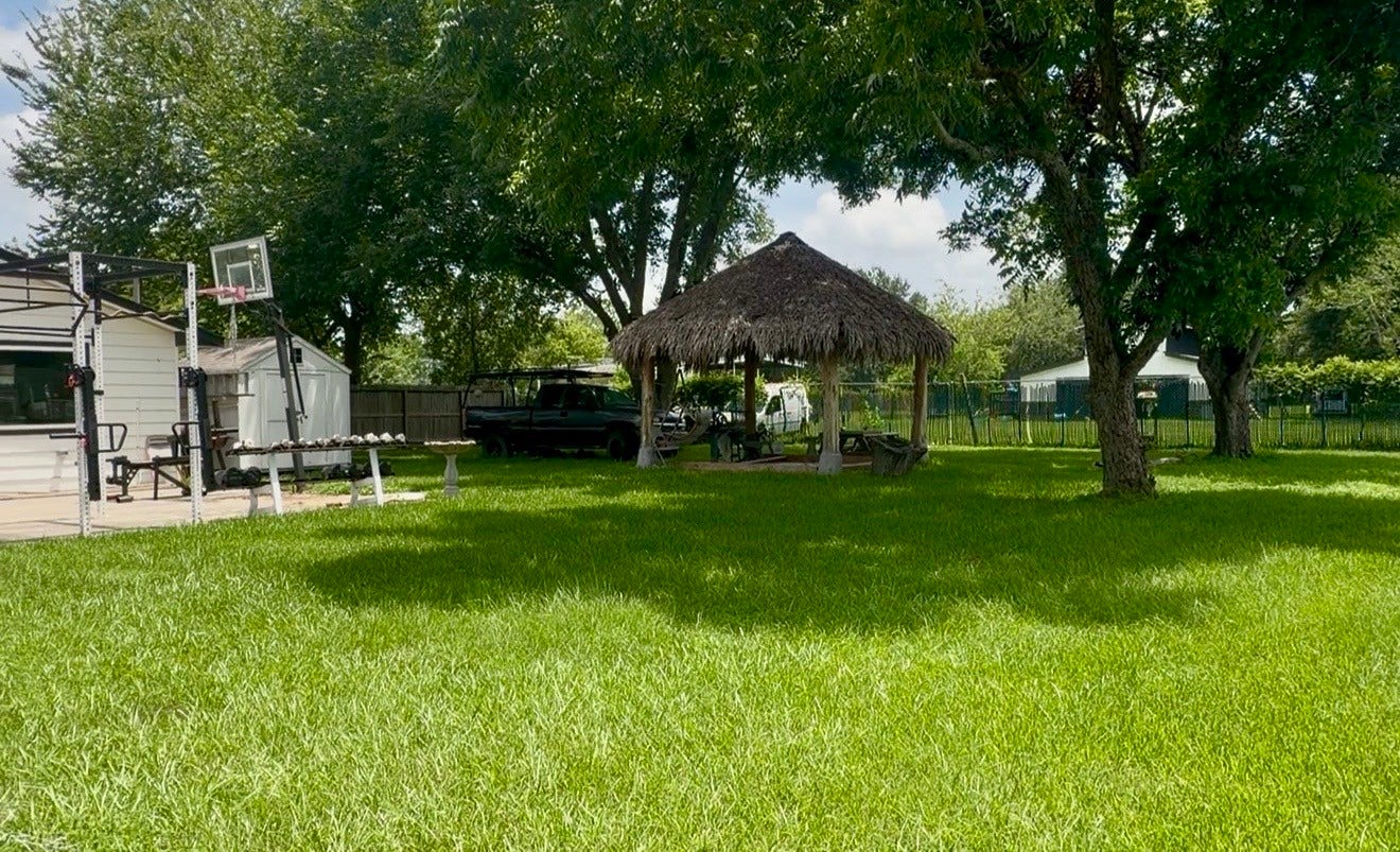 3305 Luella Avenue, Deer Park, TX 77536 A view to the cabana in the backyard
