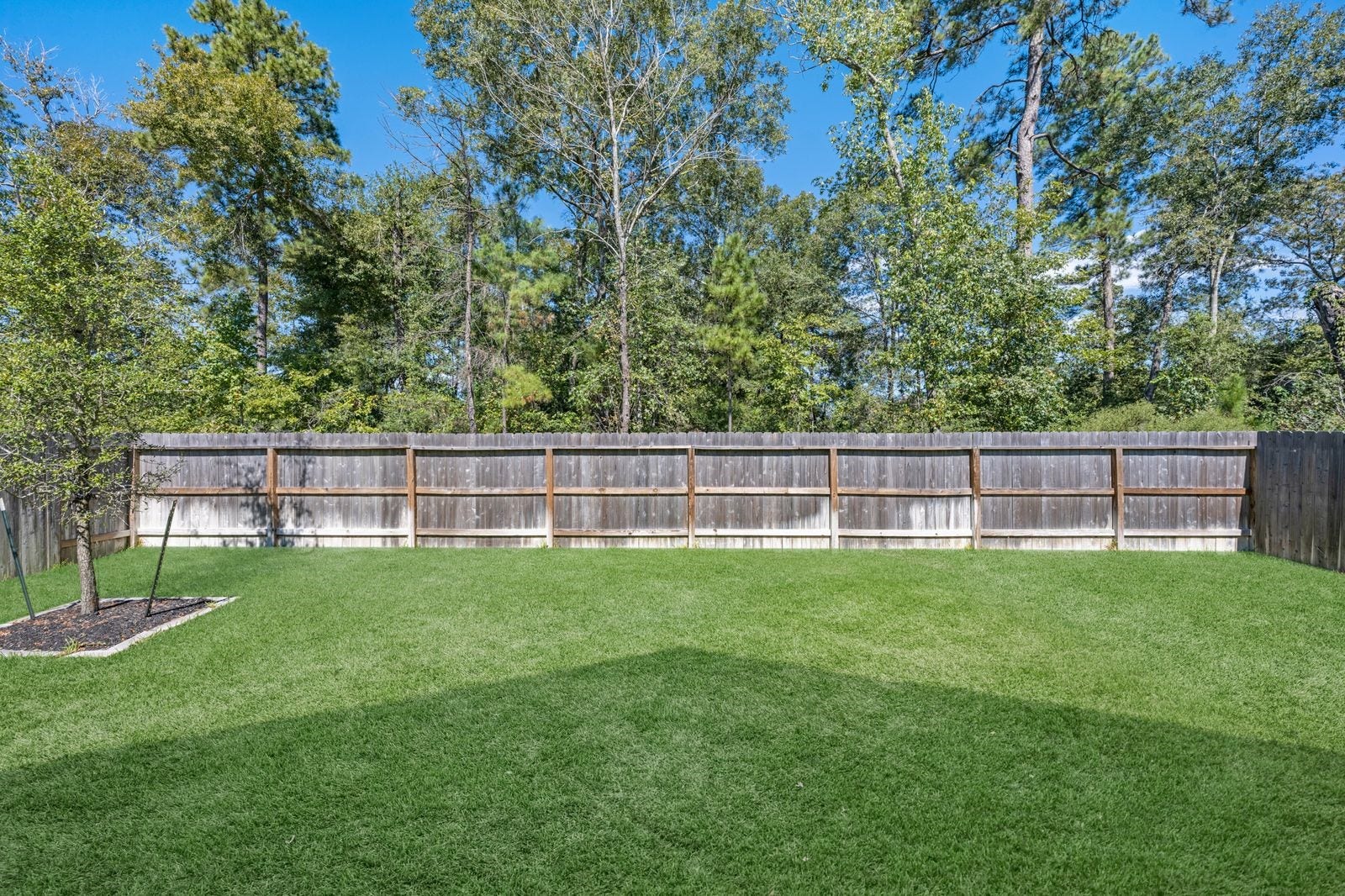 25515 Greenwood Canyon Drive, Cleveland, TX 77328 25515 Greenwood Canyon Drive, Cleveland, TX 77328
