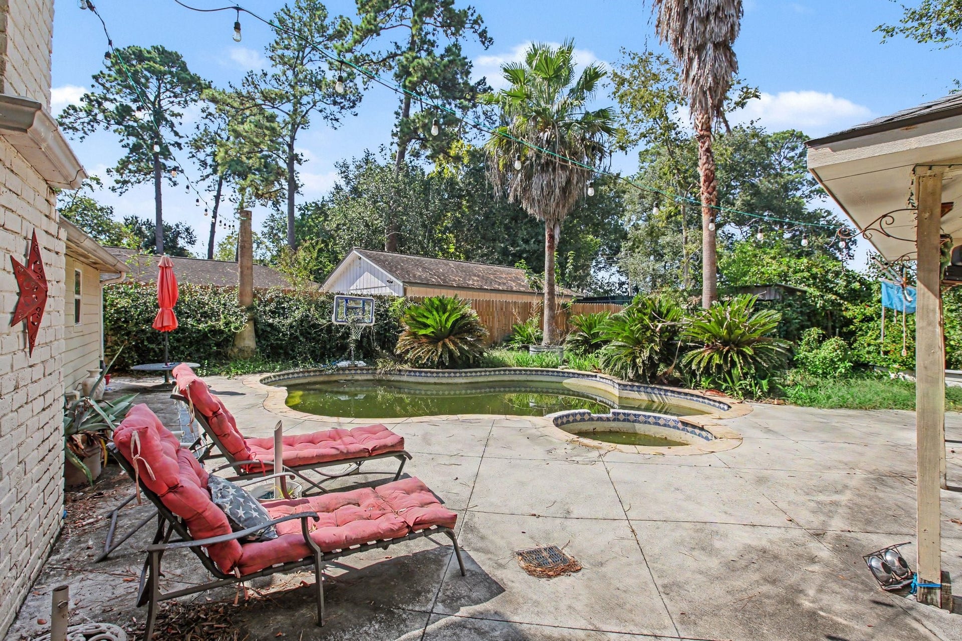 Mature palm trees, a covered patio, and the pool offer great potential