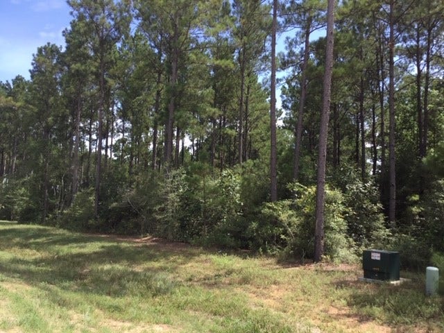 Property photo for 10825 Zulu Court, Willis, TX