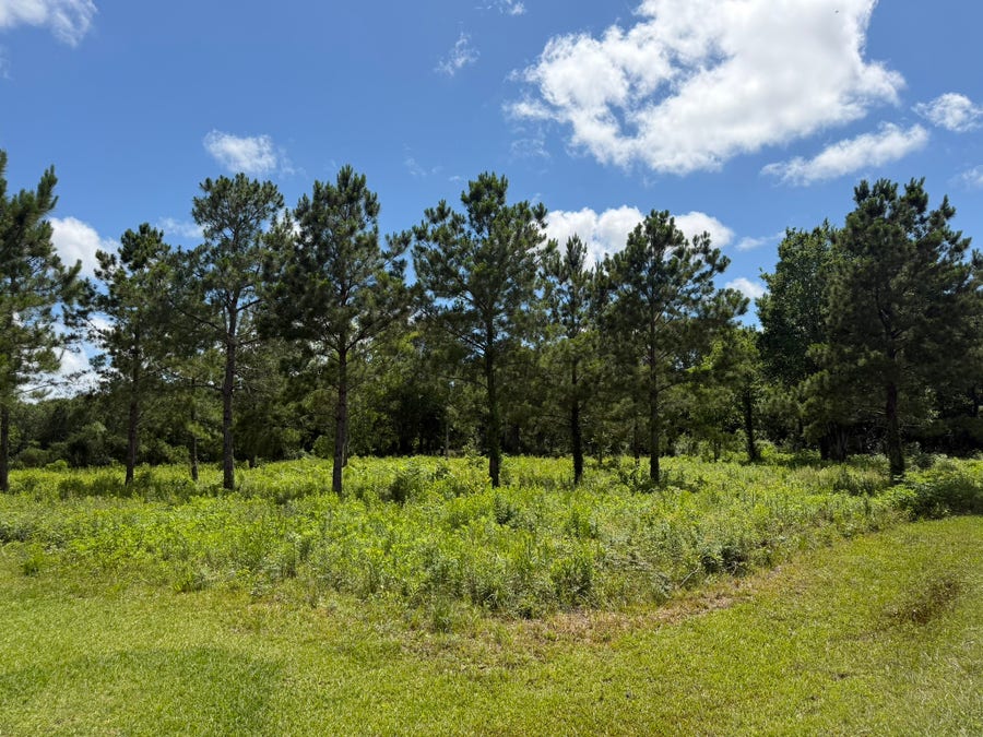 Property photo for ***** Tranquil Trace St, Algoa, TX