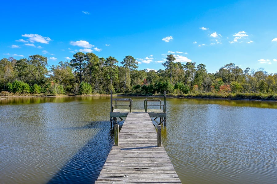 Property photo for 125 ACRES Spring Branch Road, Montgomery, TX