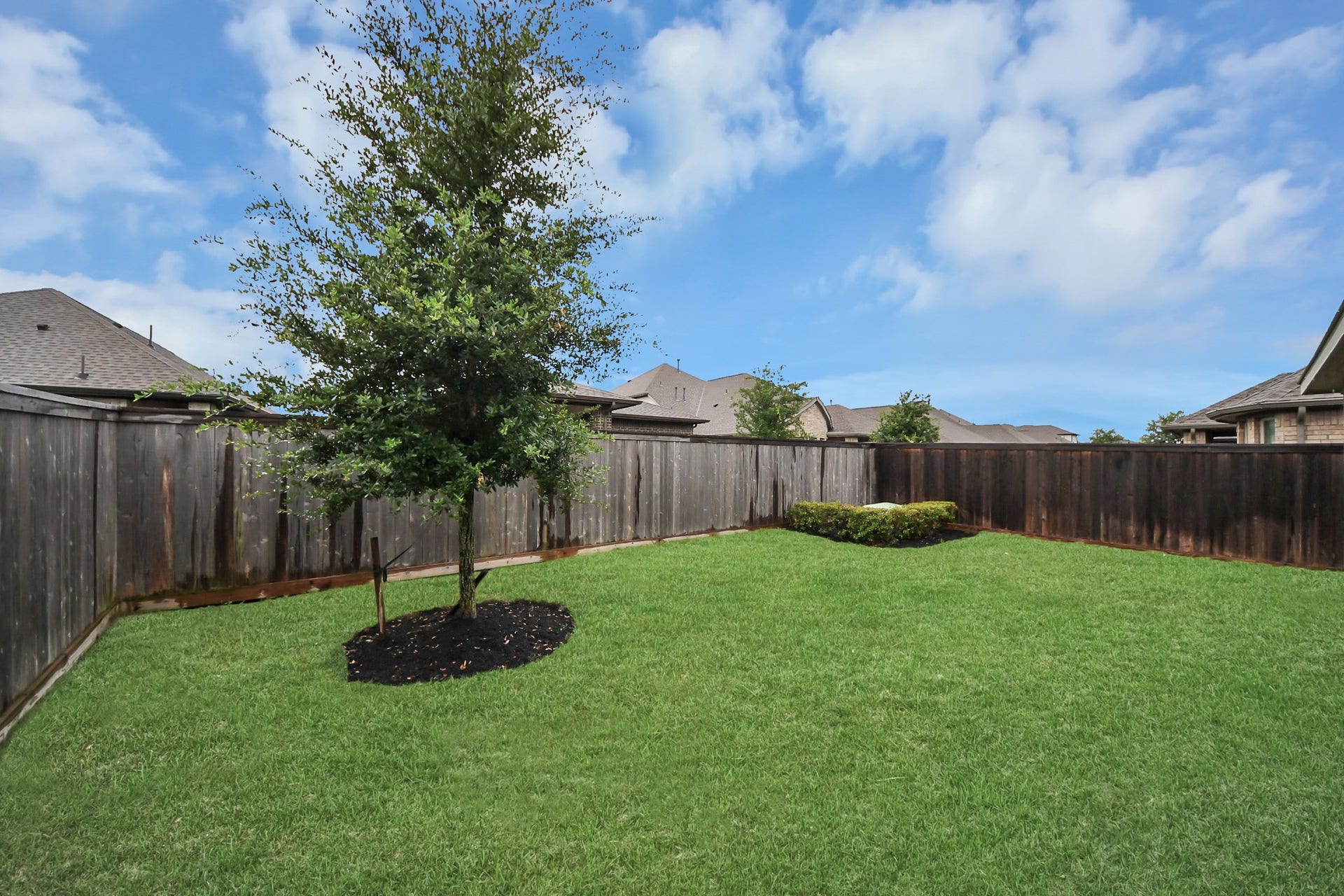 12915 California Palm Court, Cypress, TX 77433 Backyard