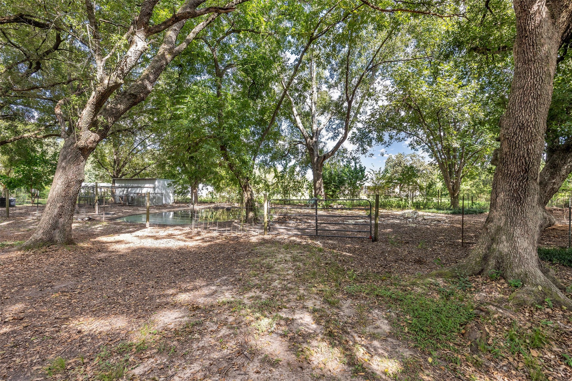 22181 Sandy Lane, Porter, TX 77365 22181 Sandy Lane, Porter, TX 77365