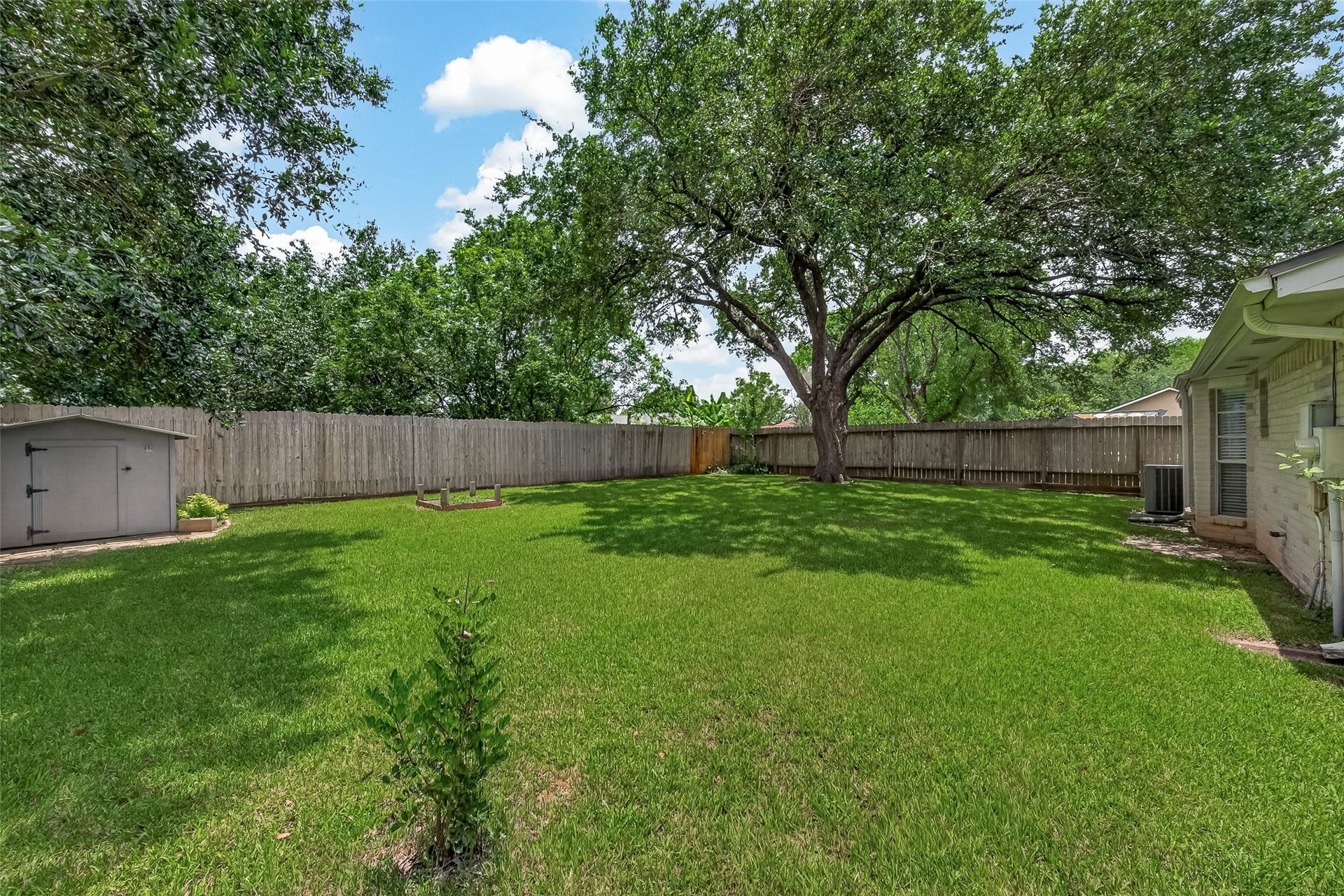 2811 Pheasant Creek Drive, Sugar Land, TX 77498 Spacious fenced backyard with mature shade tree and storage shed.