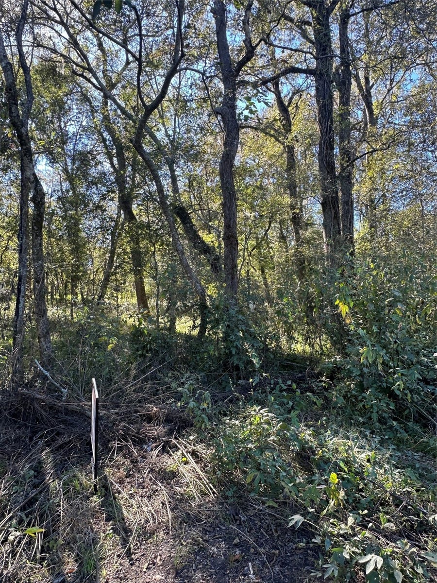 Property photo for 0 Oak Forest Drive, Guy, TX