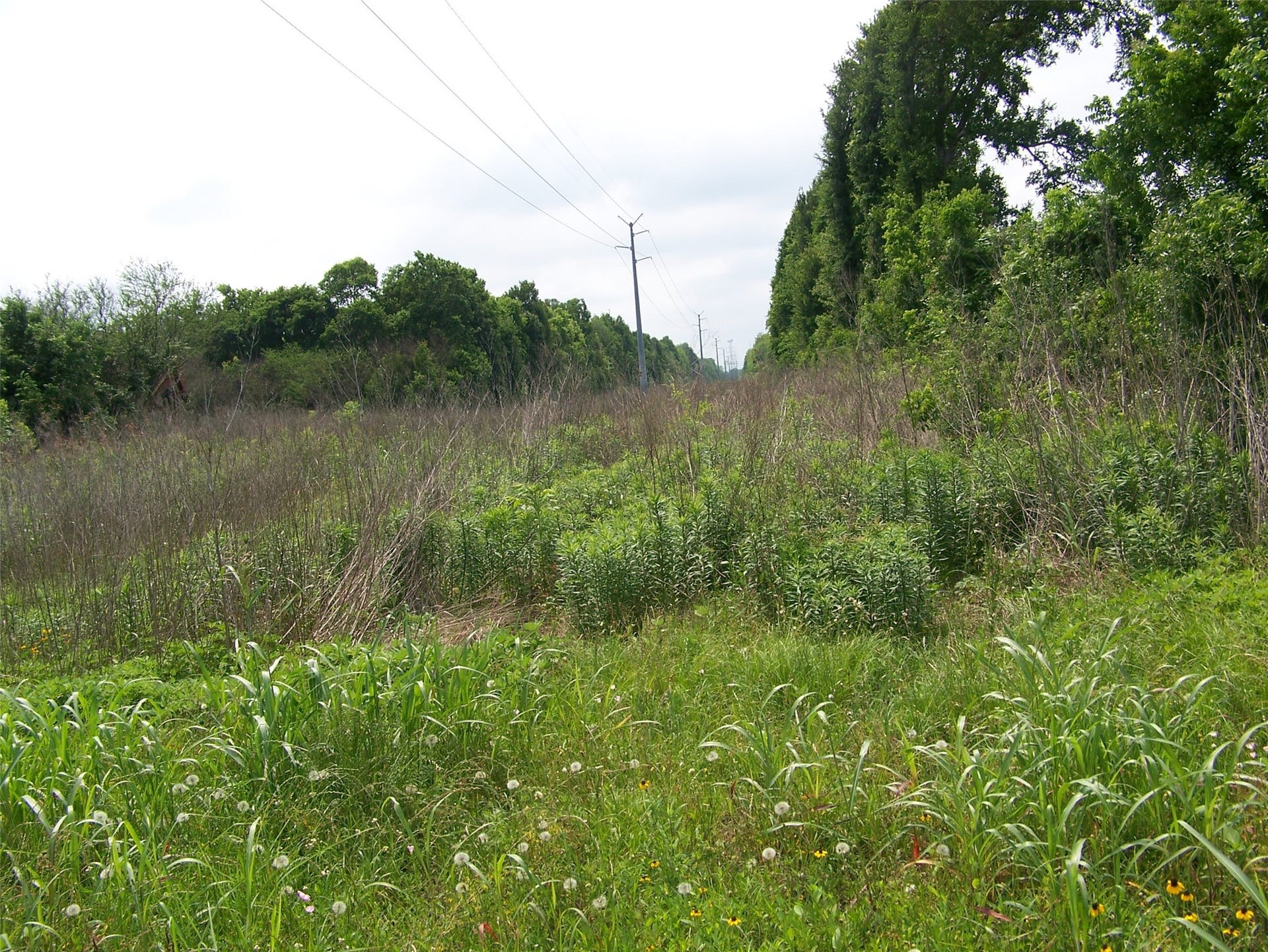 TBD Donigan Road, Brookshire, TX 77423