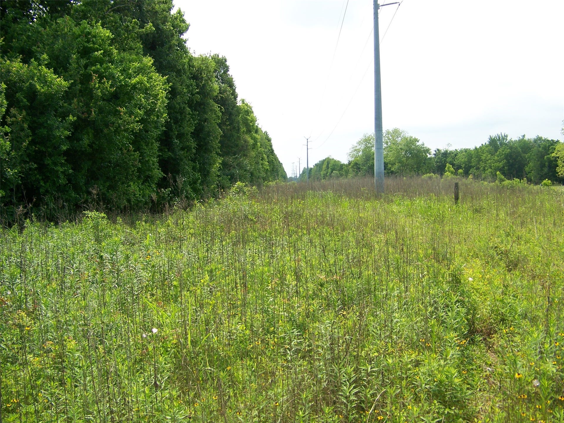 TBD Donigan Road, Brookshire, TX 77423