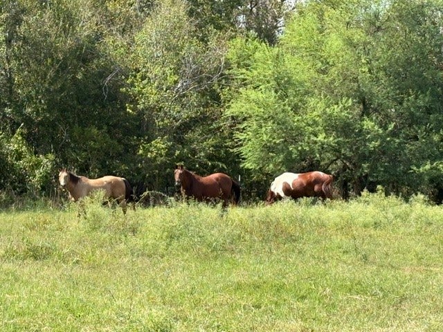 Property photo for TBD Donigan Road, Brookshire, TX