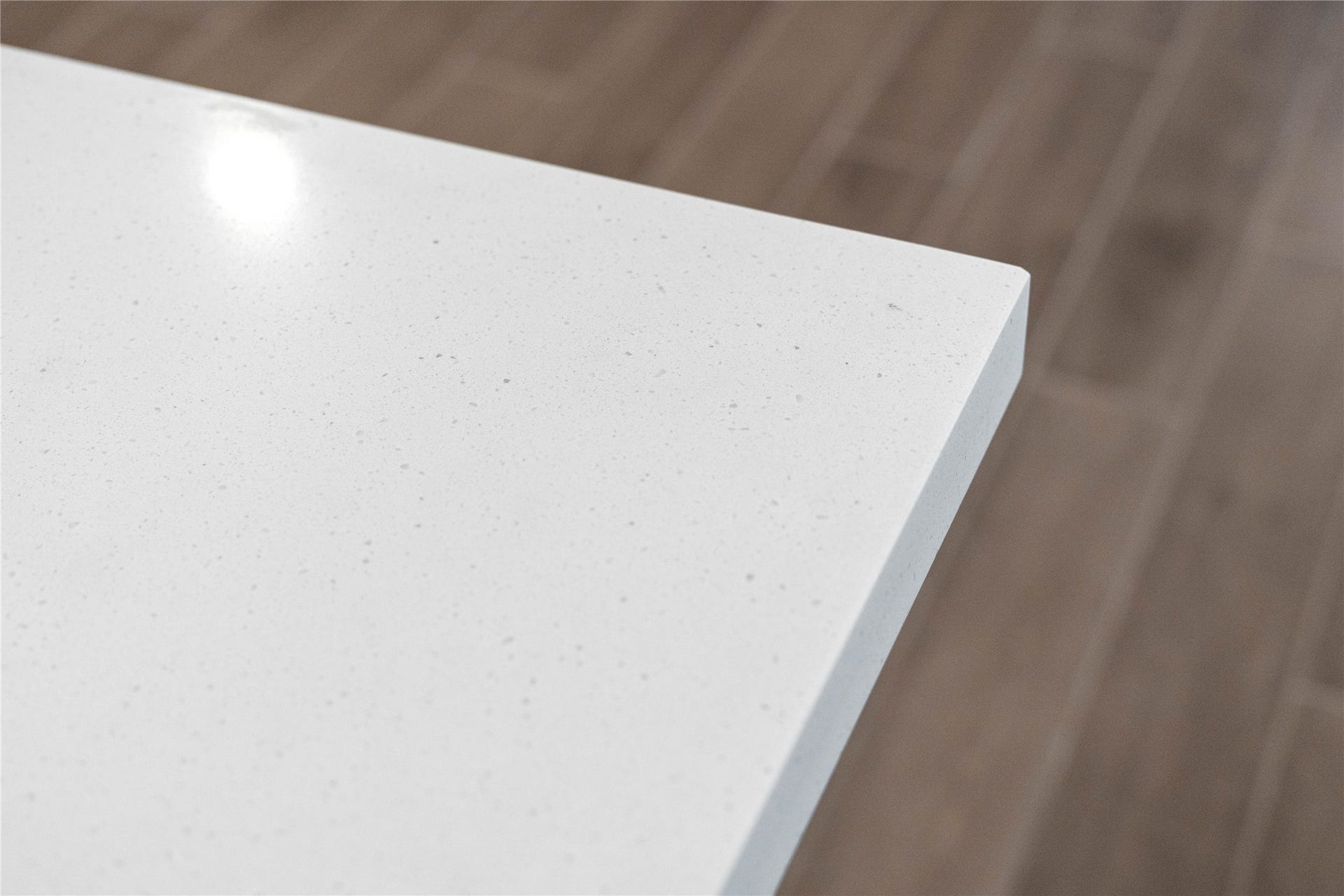 19560 Stripe Hill Bend, Montgomery, TX 77316 Frost White Quartz Countertop.