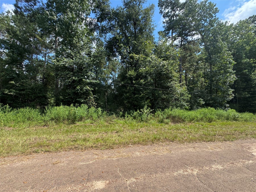 Property photo for 0 McRae Circle, Conroe, TX