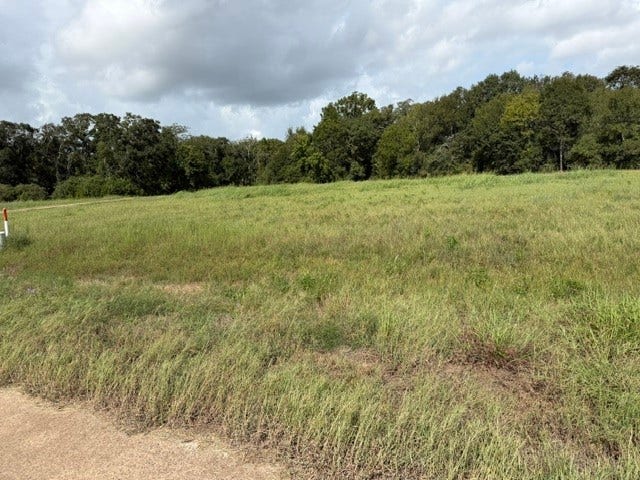 1032 Chuckwagon Trail, Angleton, TX 77515 1032 Chuckwagon Trail, Angleton, TX 77515