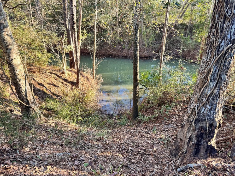 Property photo for Lot98 Barbil Lane, Houston, TX