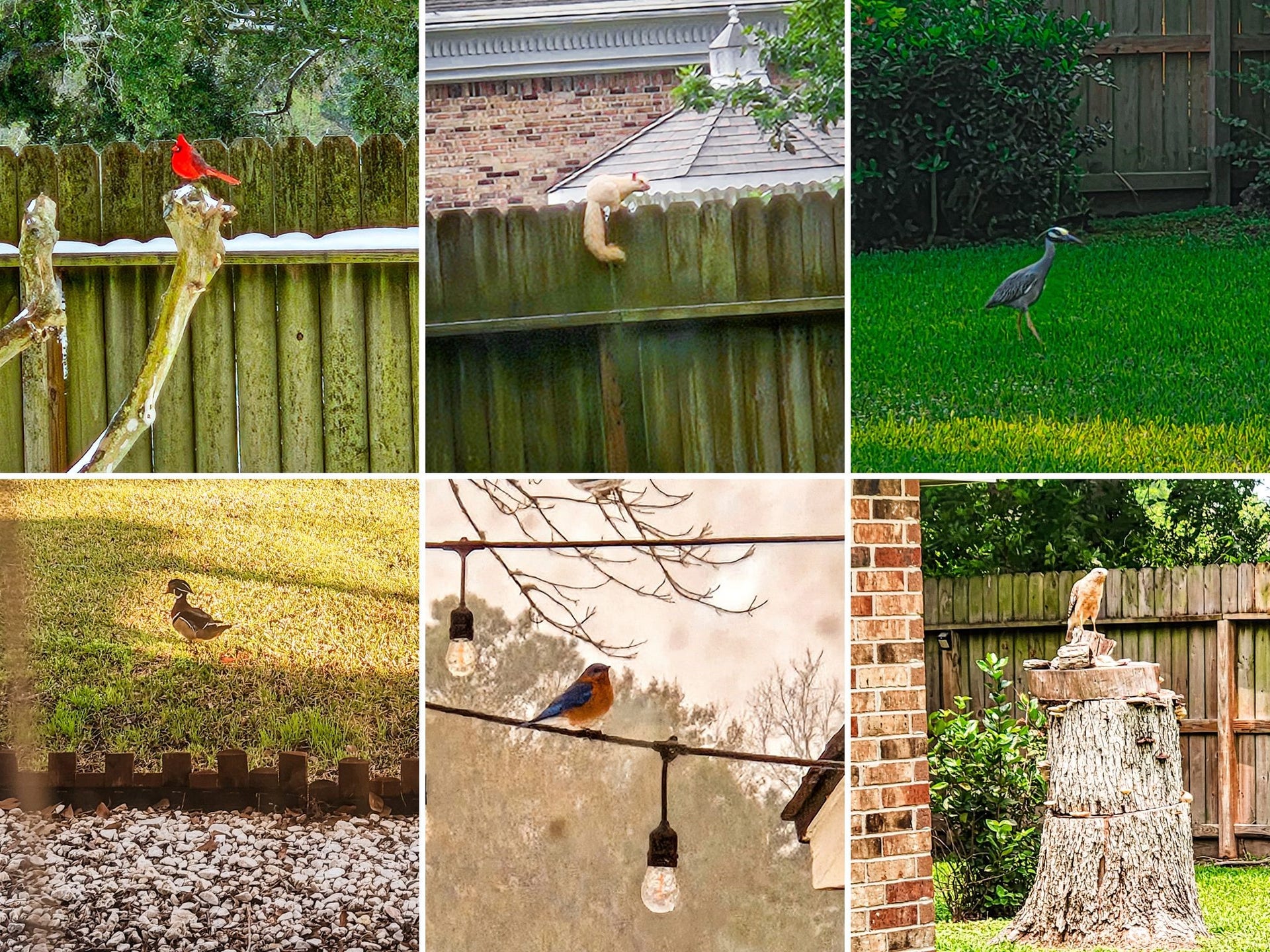4318 Meadow Glenn Drive, Dickinson, TX 77539 4318 Meadow Glenn Drive, Dickinson, TX 77539
