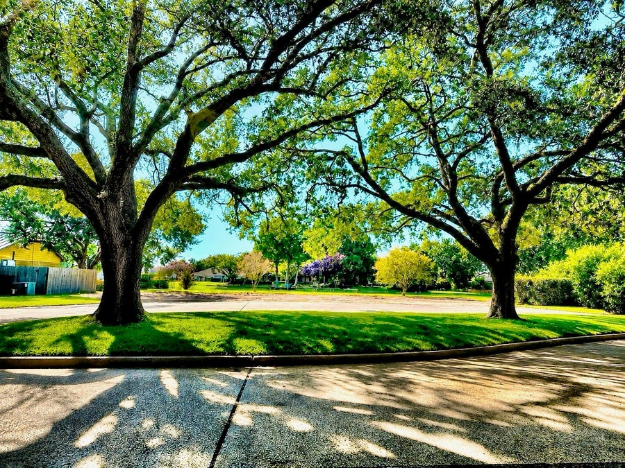 Property photo for 711 Salerno Street, Sugar Land, TX