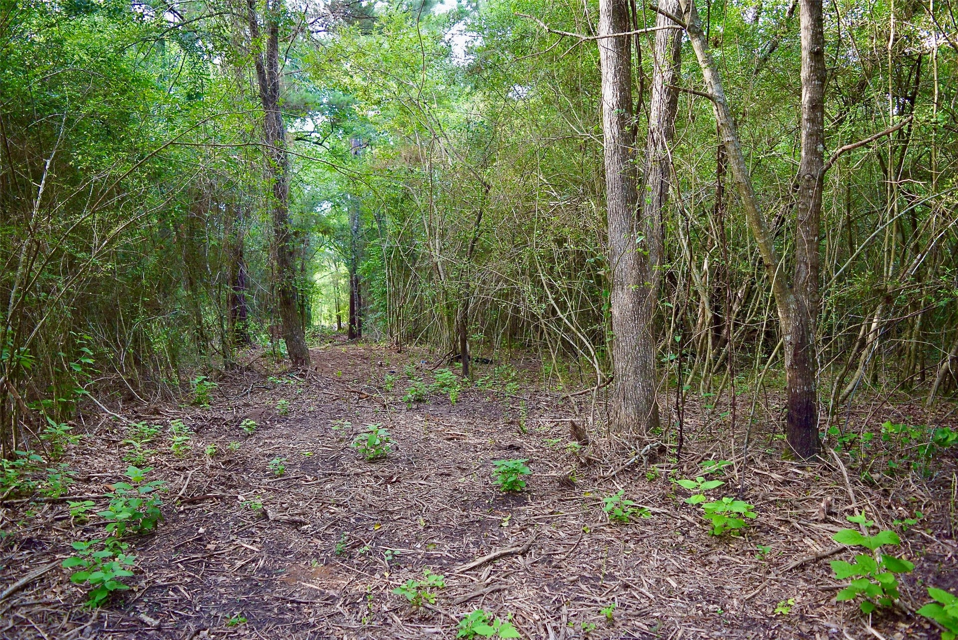 TBD Sharp Road, Montgomery, TX 77356 TBD Sharp Road, Montgomery, TX 77356