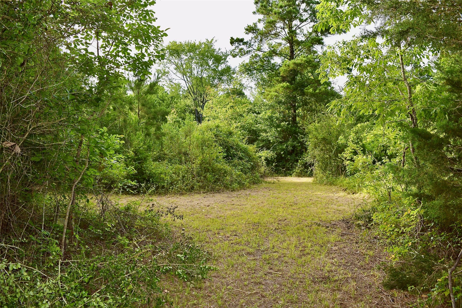 TBD Sharp Road, Montgomery, TX 77356 TBD Sharp Road, Montgomery, TX 77356