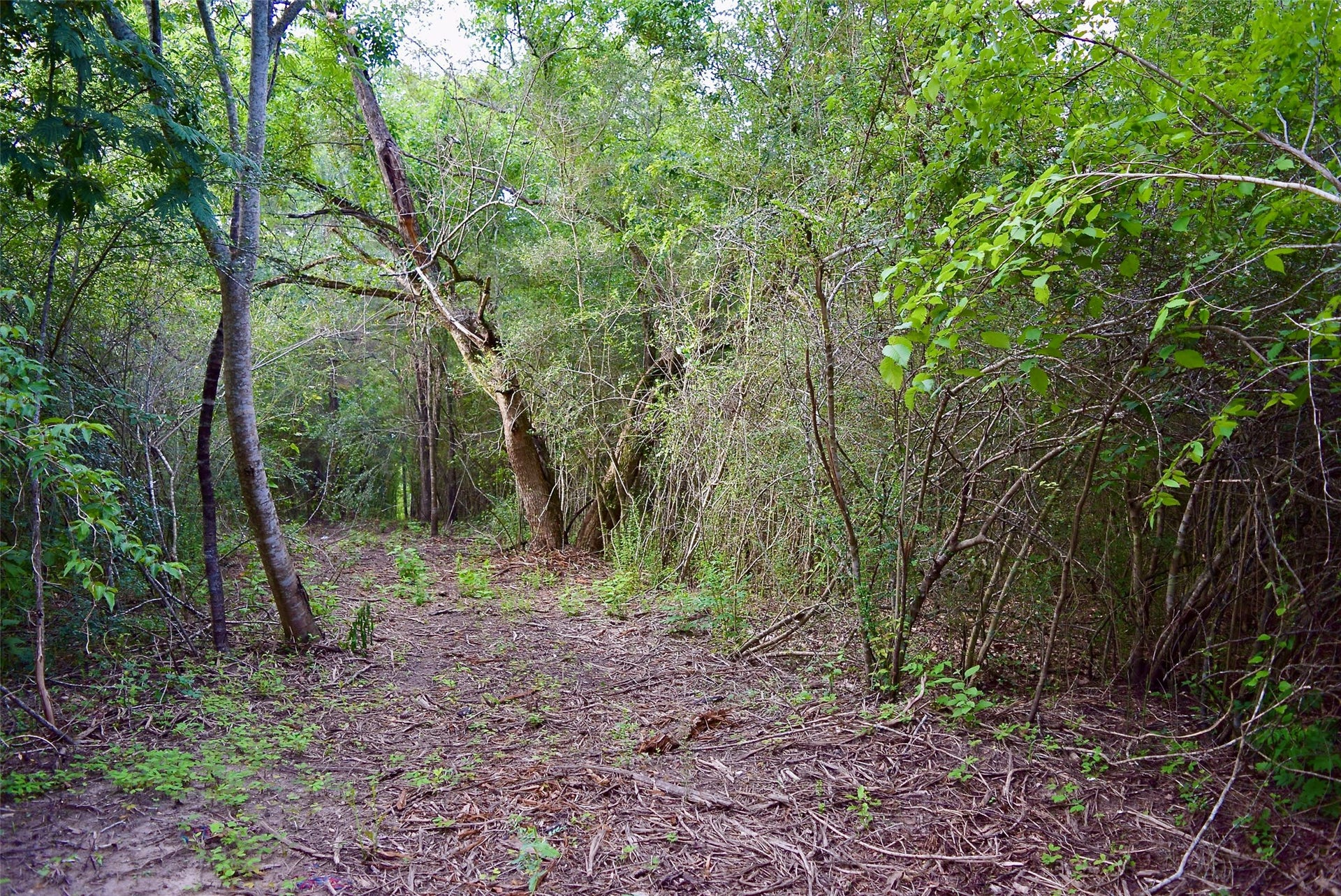 TBD Sharp Road, Montgomery, TX 77356 TBD Sharp Road, Montgomery, TX 77356