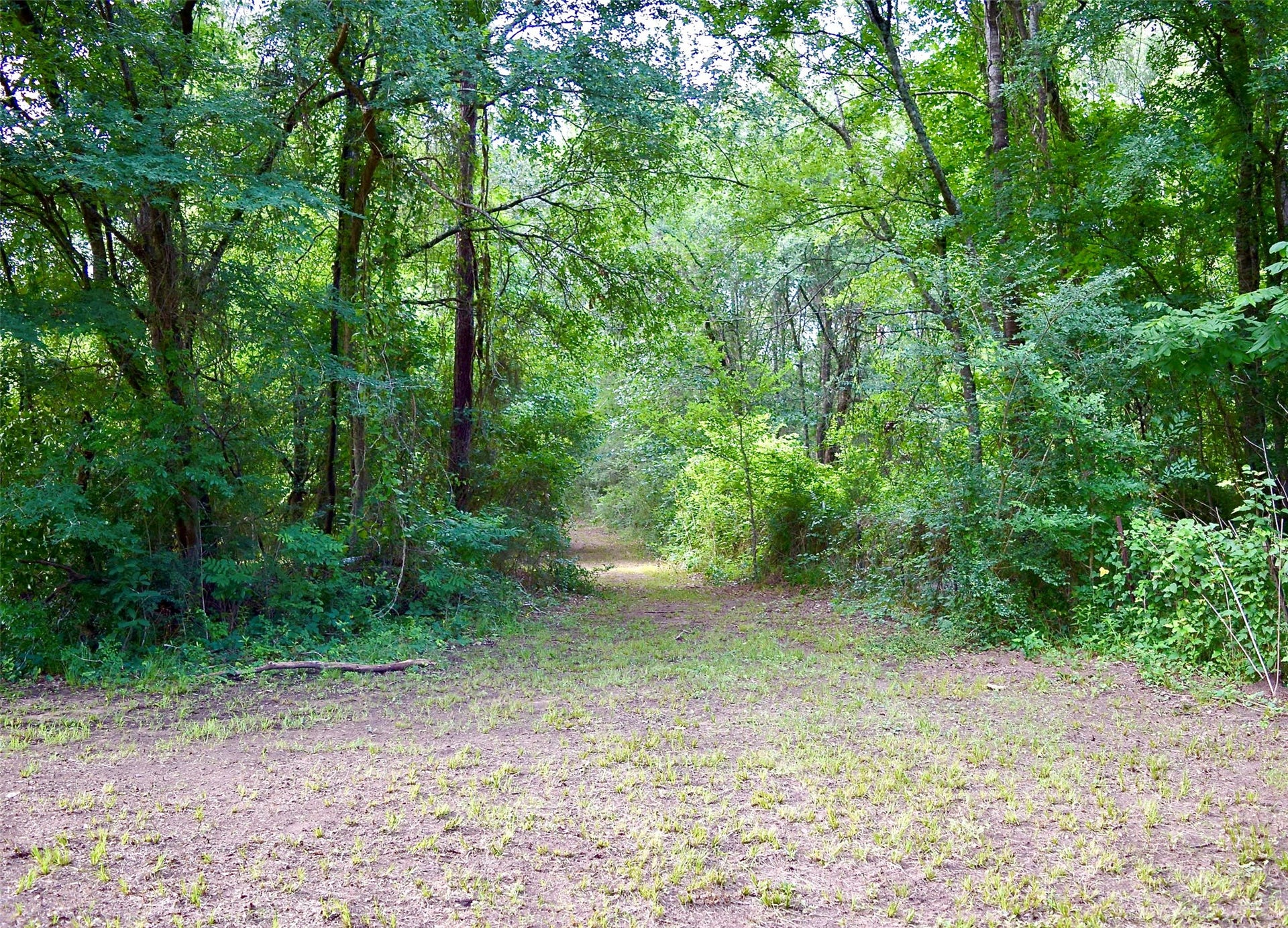 TBD Sharp Road, Montgomery, TX 77356 TBD Sharp Road, Montgomery, TX 77356