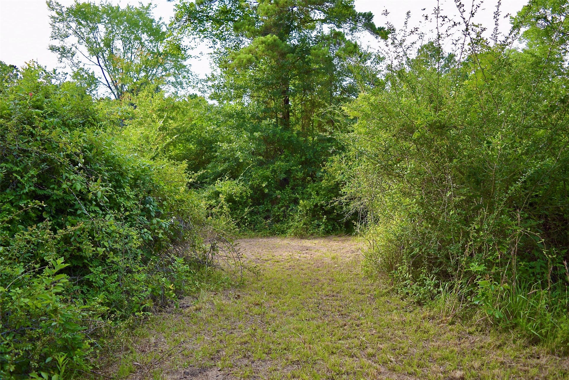 TBD Sharp Road, Montgomery, TX 77356 TBD Sharp Road, Montgomery, TX 77356
