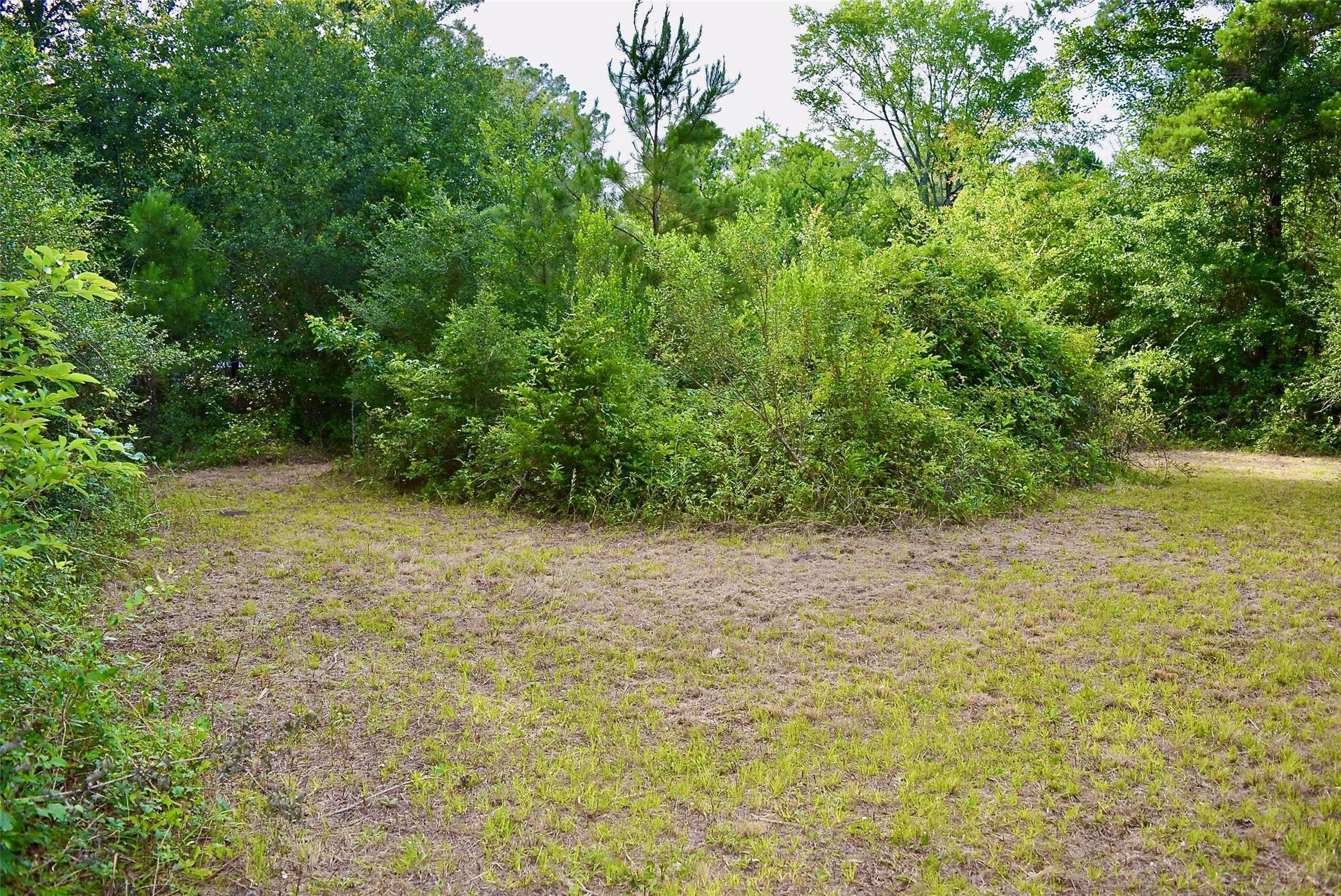 TBD Sharp Road, Montgomery, TX 77356 TBD Sharp Road, Montgomery, TX 77356