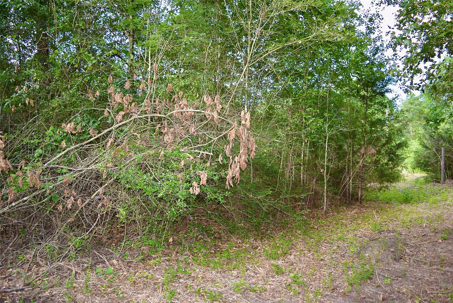TBD Sharp Road, Montgomery, TX 77356 TBD Sharp Road, Montgomery, TX 77356