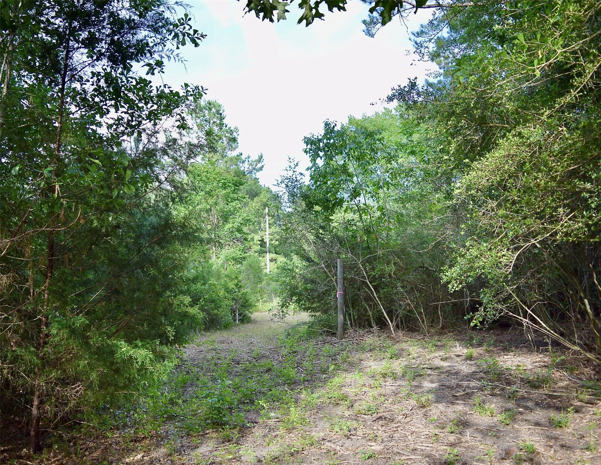 TBD Sharp Road, Montgomery, TX 77356 TBD Sharp Road, Montgomery, TX 77356
