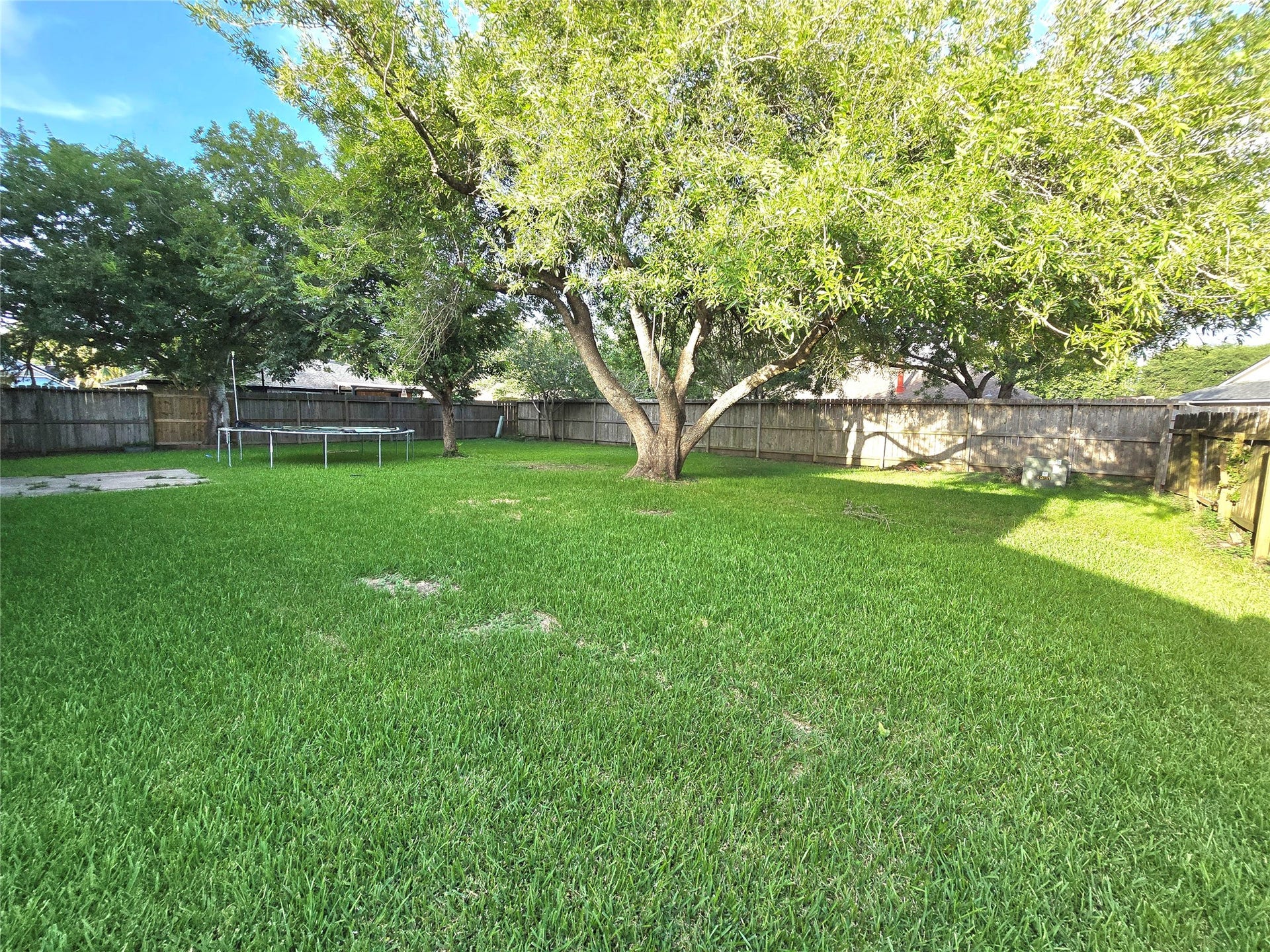 5205 Winding Brook Drive, Dickinson, TX 77539 Spacious backyard featuring lush green grass, mature trees, and a wooden fence, offering ample space for outdoor activities and relaxation.