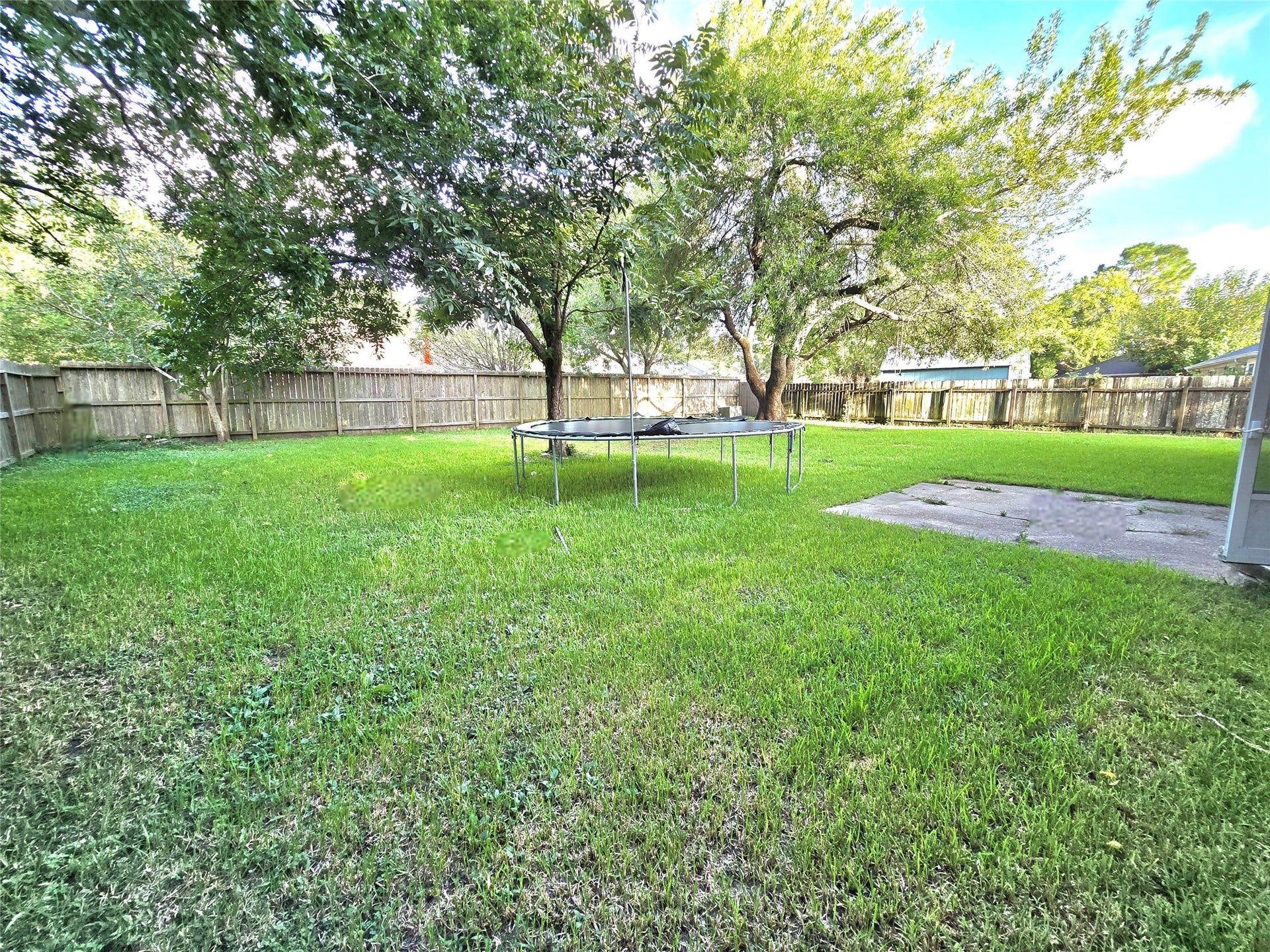 5205 Winding Brook Drive, Dickinson, TX 77539 Expansive backyard with lush green grass and mature trees, perfect for outdoor activities and relaxation.