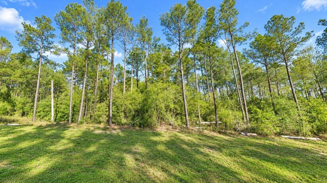 15987 Four Hills Road, Willis, TX 77378 15987 Four Hills Road, Willis, TX 77378