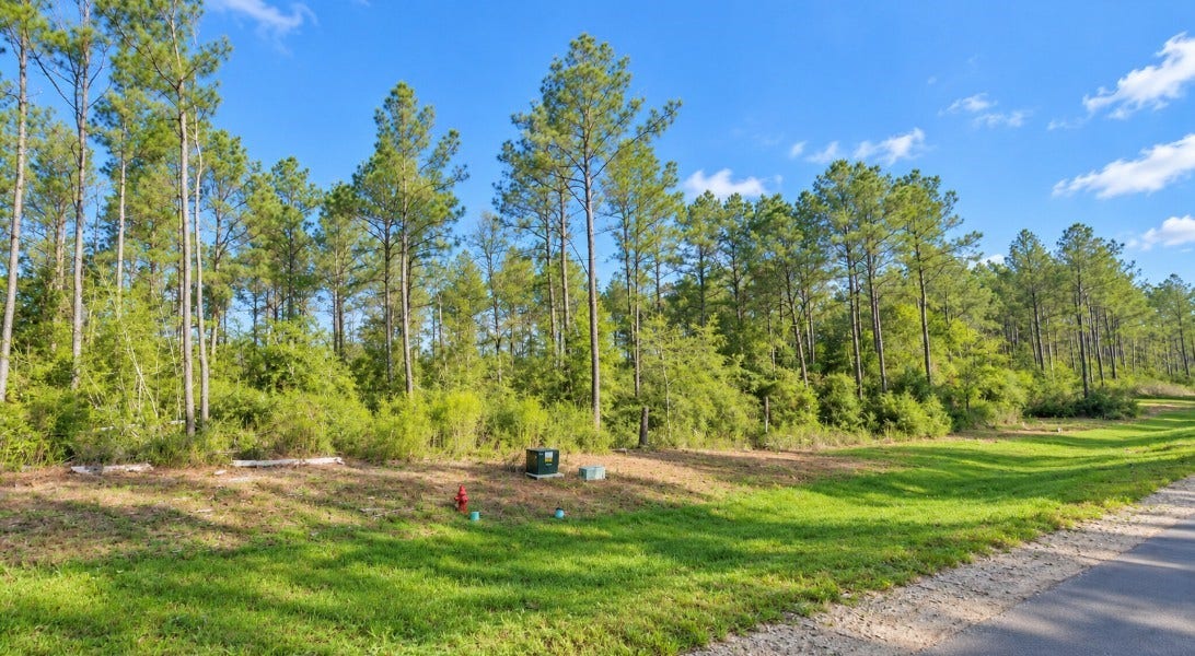 15987 Four Hills Road, Willis, TX 77378 15987 Four Hills Road, Willis, TX 77378