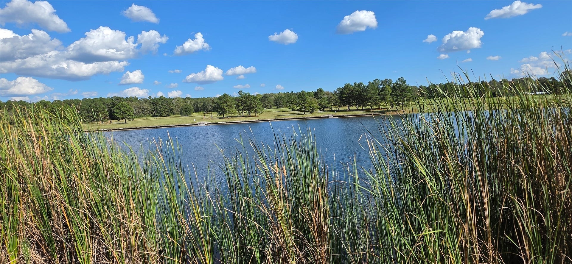 15987 Four Hills Road, Willis, TX 77378 15987 Four Hills Road, Willis, TX 77378