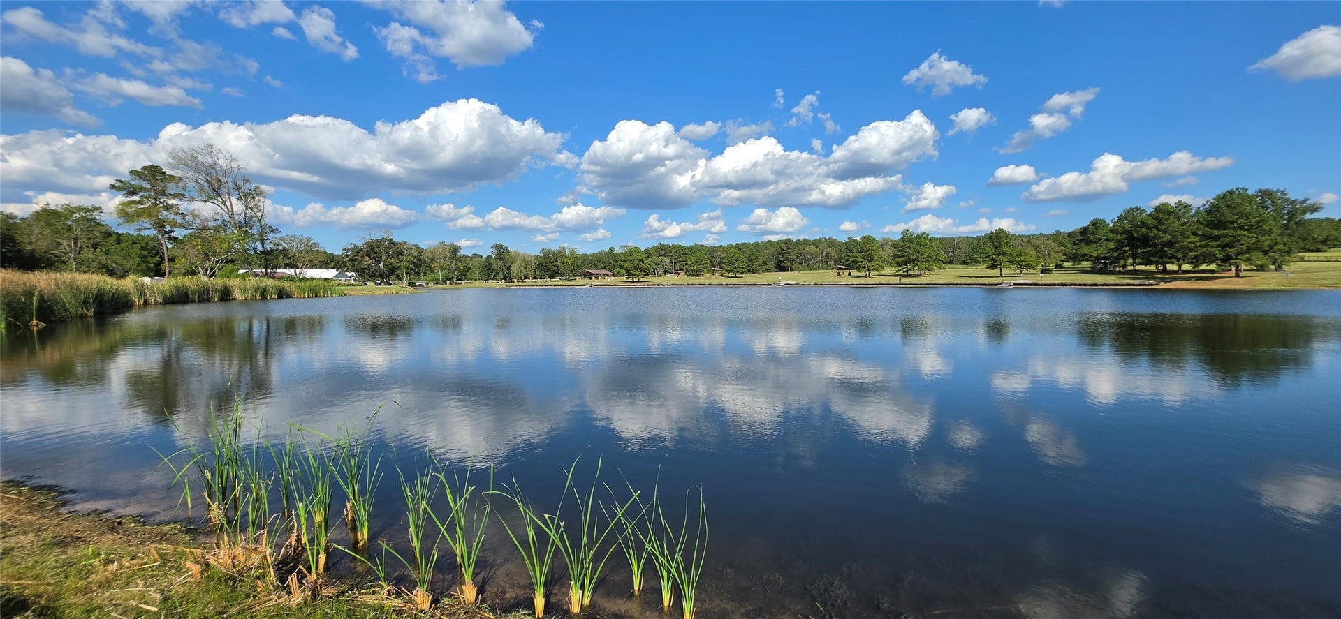 15987 Four Hills Road, Willis, TX 77378 15987 Four Hills Road, Willis, TX 77378