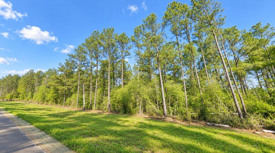 15987 Four Hills Road, Willis, TX 77378 15987 Four Hills Road, Willis, TX 77378