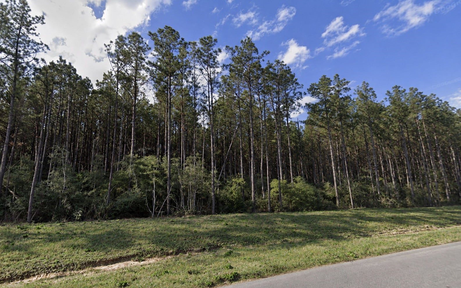 15997 Ridge Oak Road, Willis, TX 77378 15997 Ridge Oak Road, Willis, TX 77378