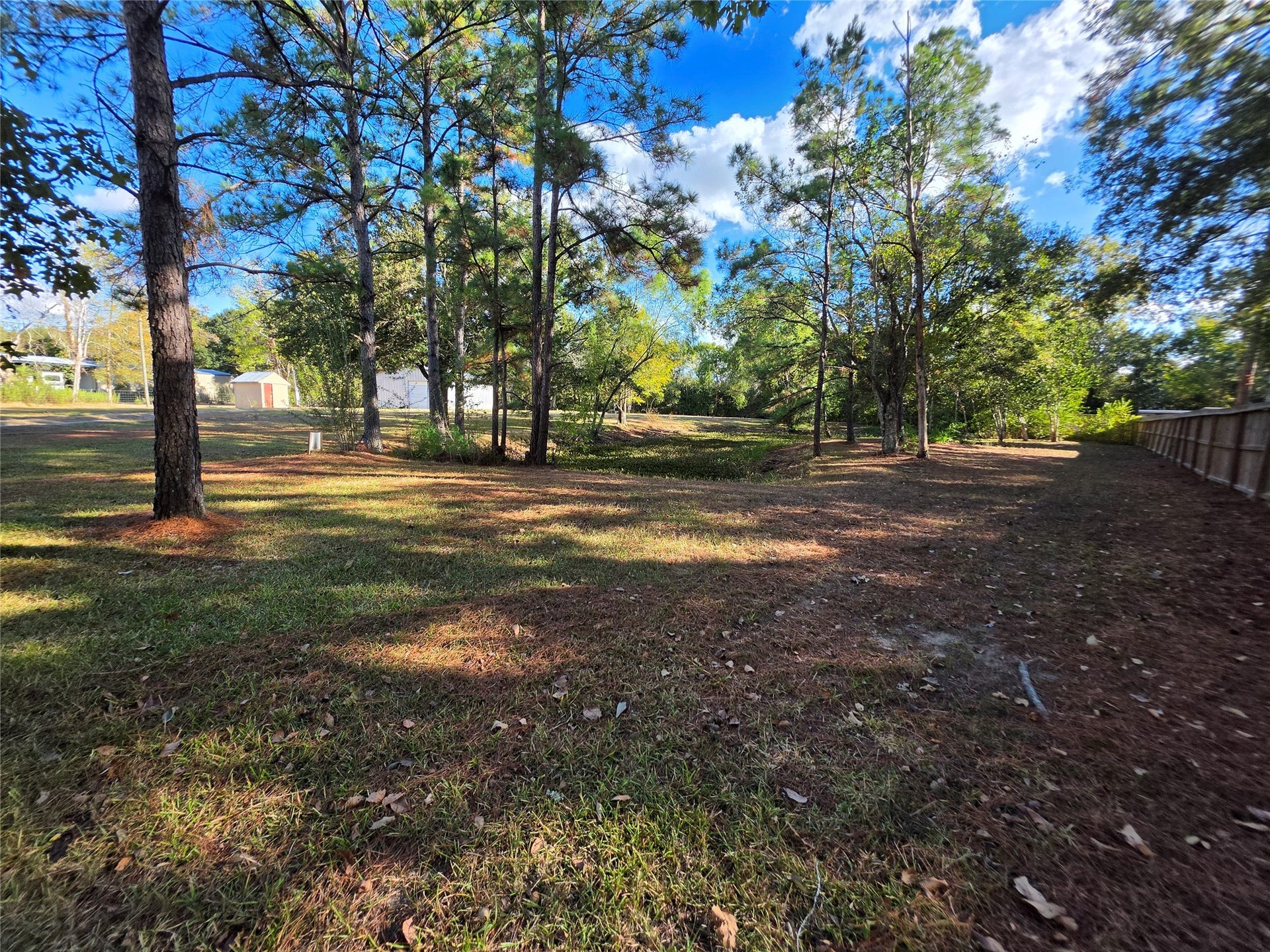 6003 Pine Tree Trail, Alvin, TX 77511