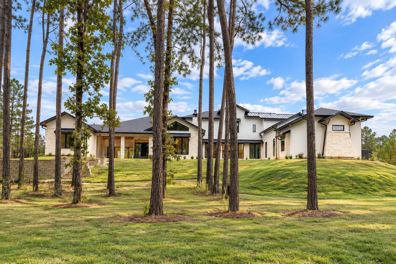 25332 High Meadow West Drive, Montgomery, TX 77316 25332 High Meadow West Drive, Montgomery, TX 77316