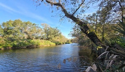 Property photo for 000 Bayou Road, Danbury, TX
