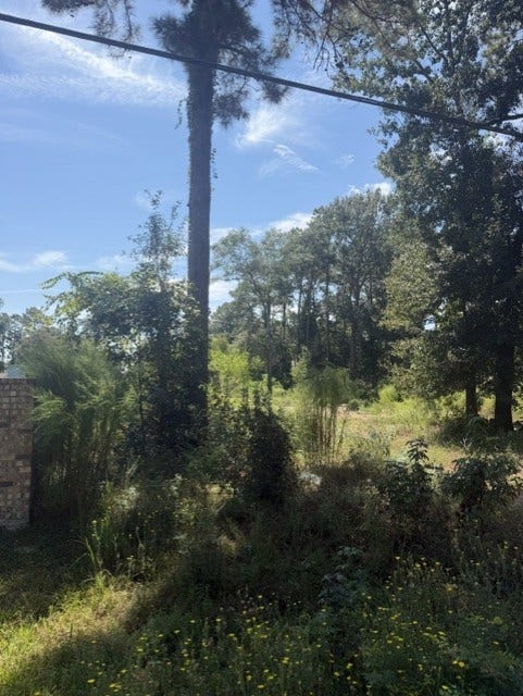 18944 Iris Ln, Porter, TX 77365 18944 Iris Ln, Porter, TX 77365